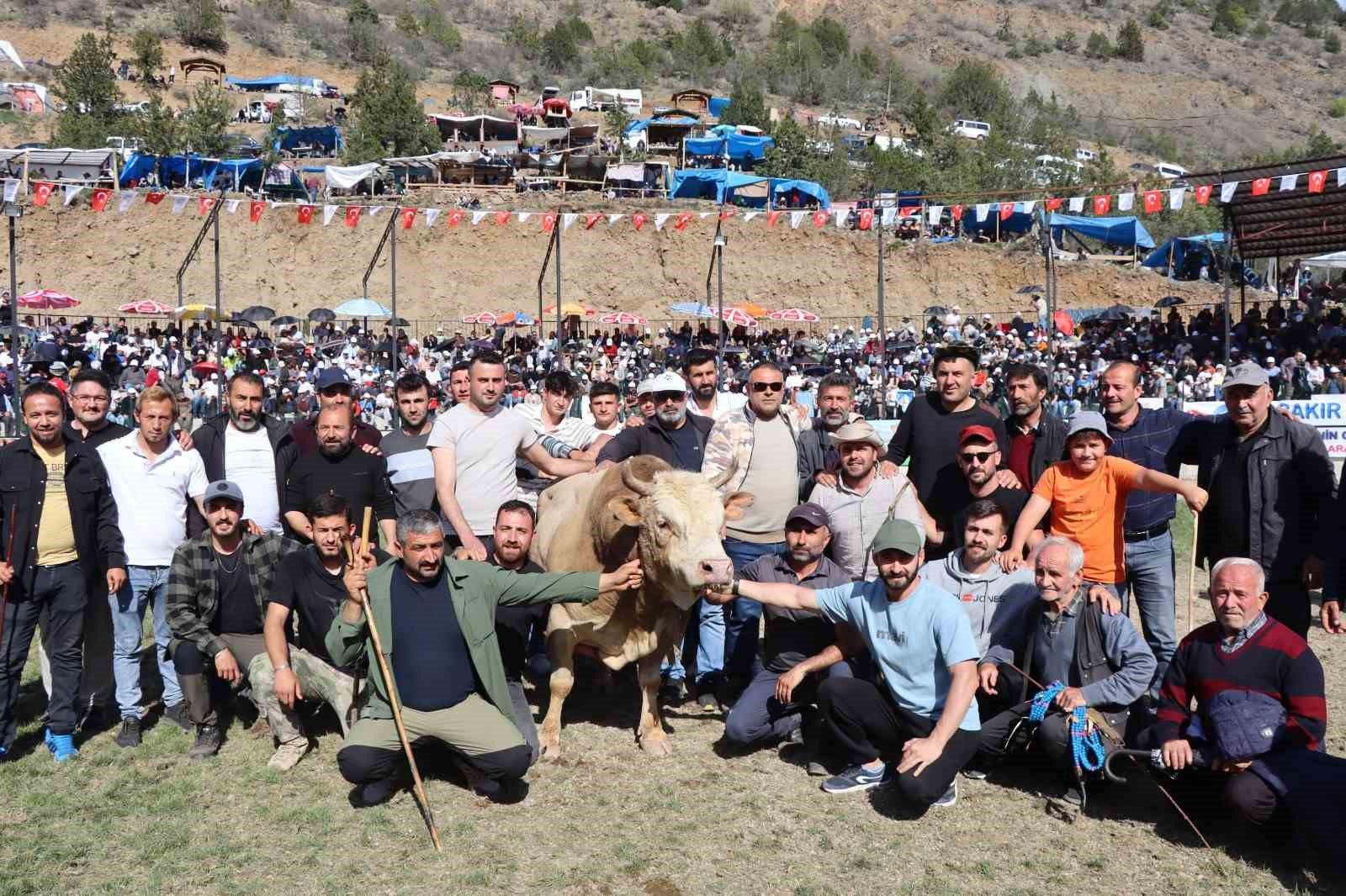 kral-ile-ates-arenaya-sigmadi