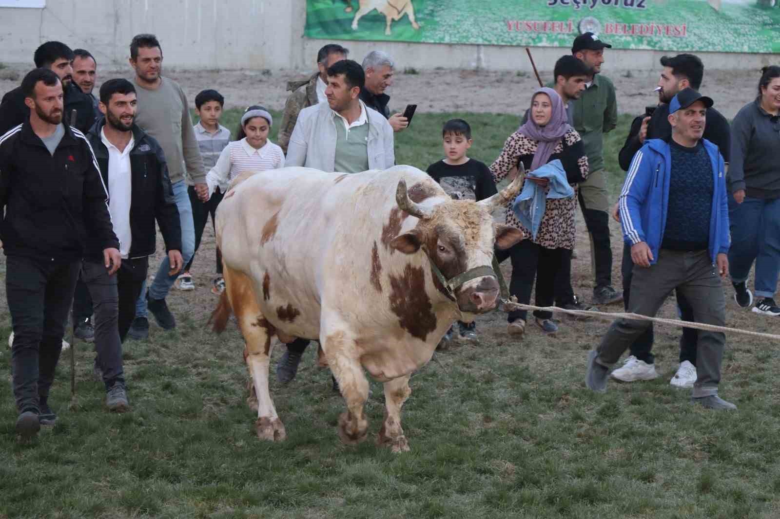 kral-ile-ates-arenaya-sigmadi