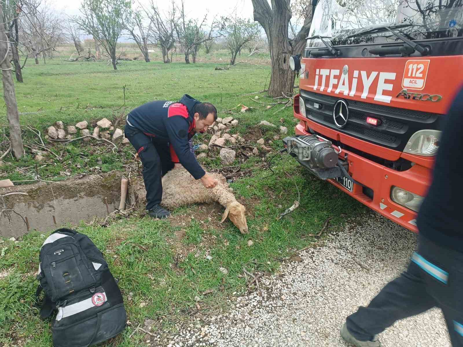 kuyuya-dusen-koyun-itfaiye-ekipleri-tarafindan-kurtarildi