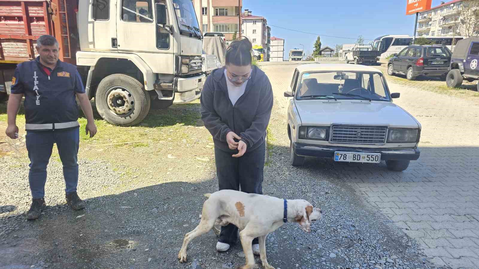 ucurumda-mahsur-kalan-gorme-engelli-kopek-kurtarildi