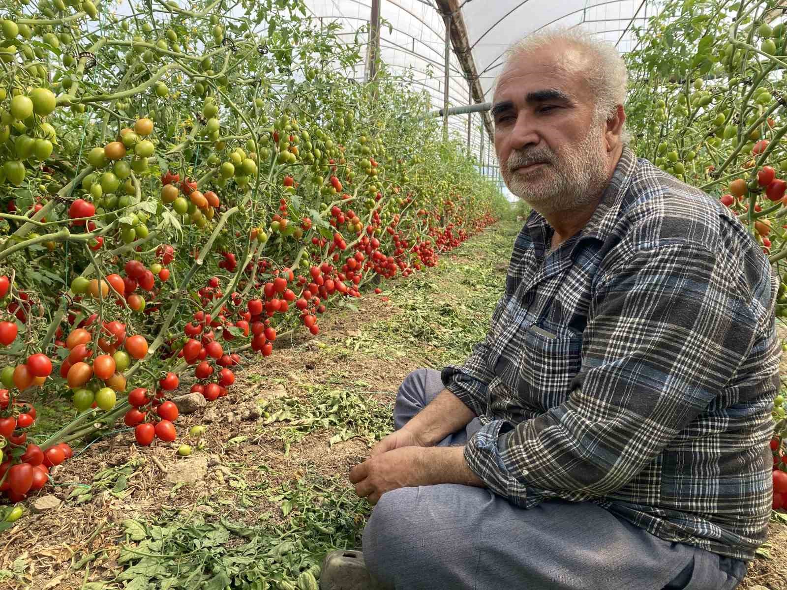 ureticiden-fiyat-farkina-tepki-domates-bizden-15-tlye-aliniyor-marketlerde-70-tlye-satiliyor-aradaki-farki-kim-yiyor