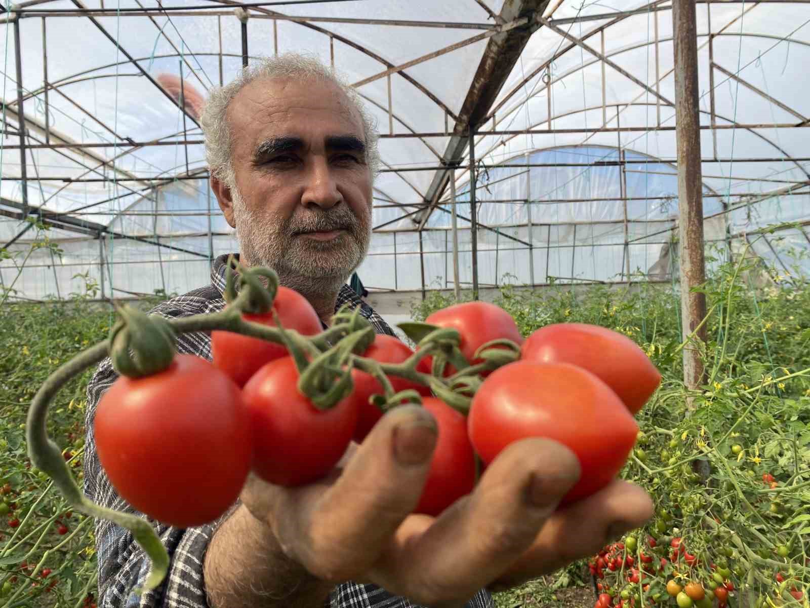 ureticiden-fiyat-farkina-tepki-domates-bizden-15-tlye-aliniyor-marketlerde-70-tlye-satiliyor-aradaki-farki-kim-yiyor