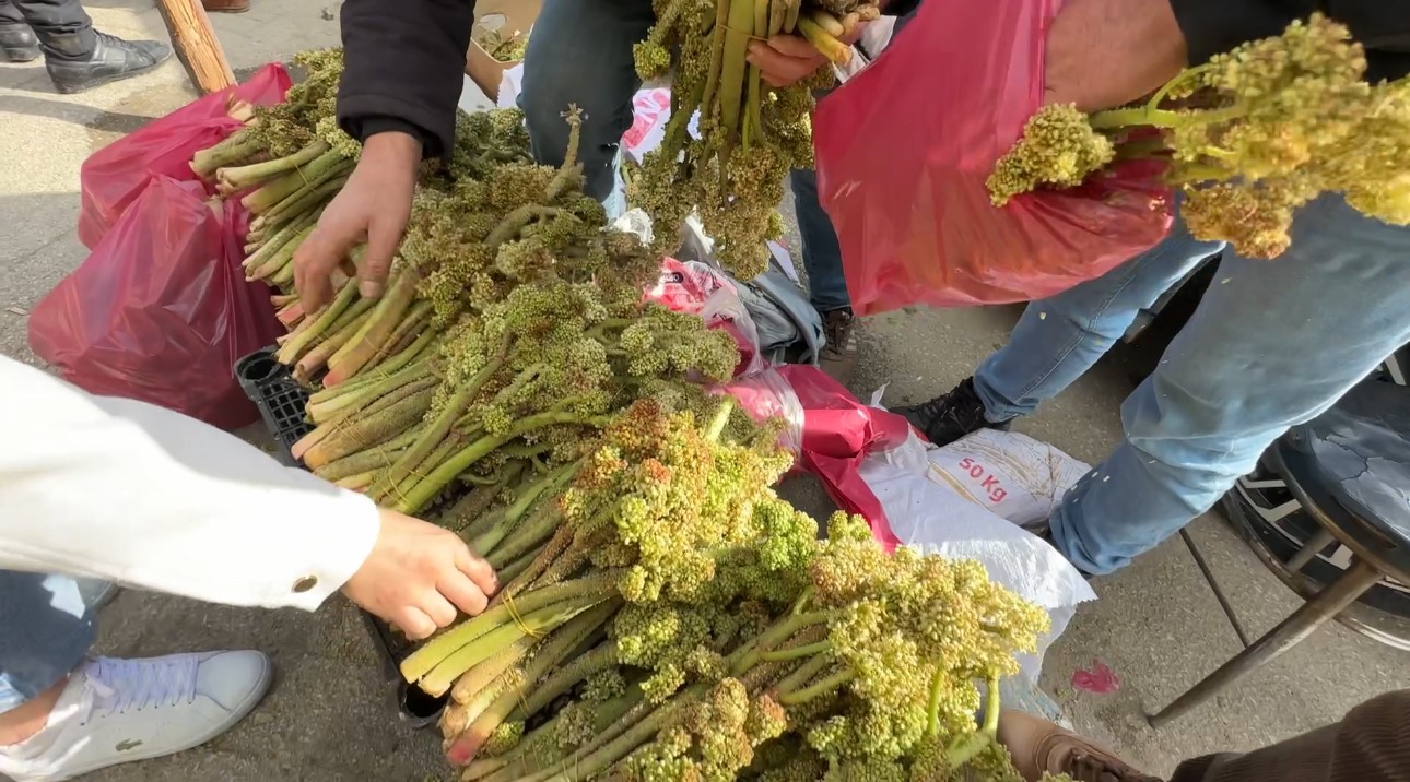 yayla-muzunun-destesi-100-tlden-satisa-cikarildi