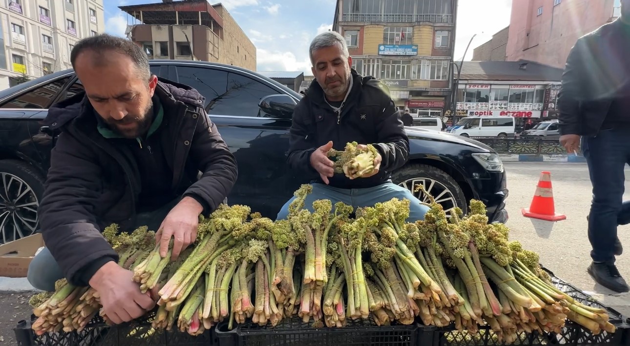 yayla-muzunun-destesi-100-tlden-satisa-cikarildi