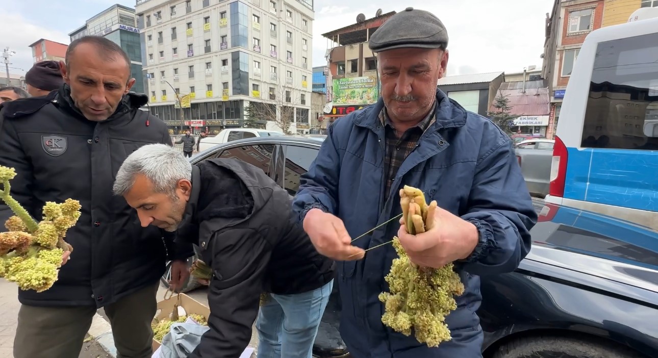 yayla-muzunun-destesi-100-tlden-satisa-cikarildi