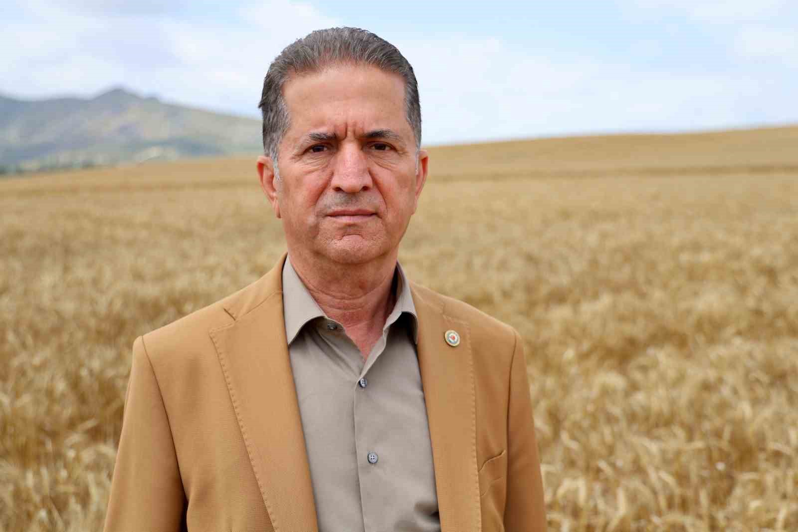 adanada-bugday-hasadi-basladi