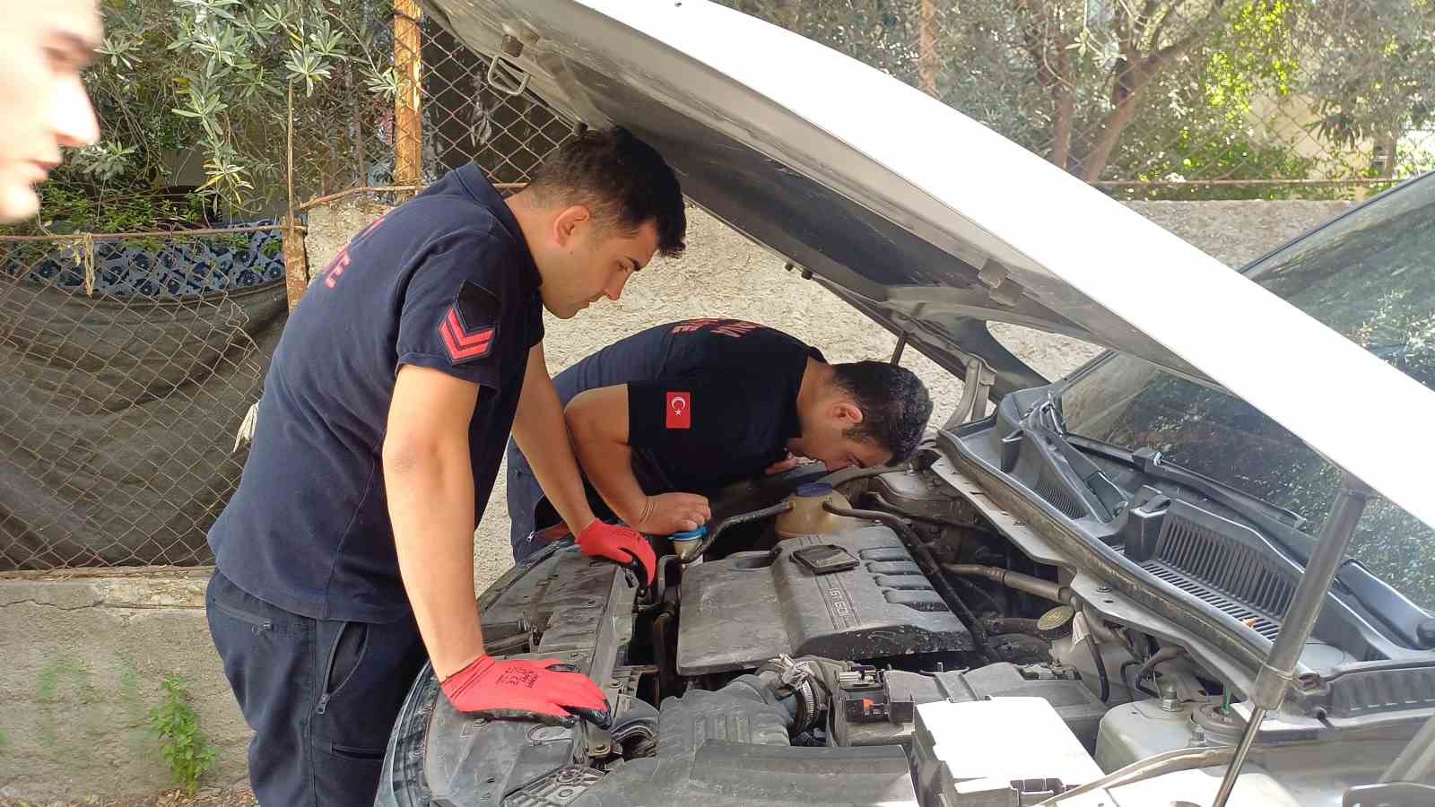 aracin-motoruna-sikisan-yavru-kedi-kurtarildi