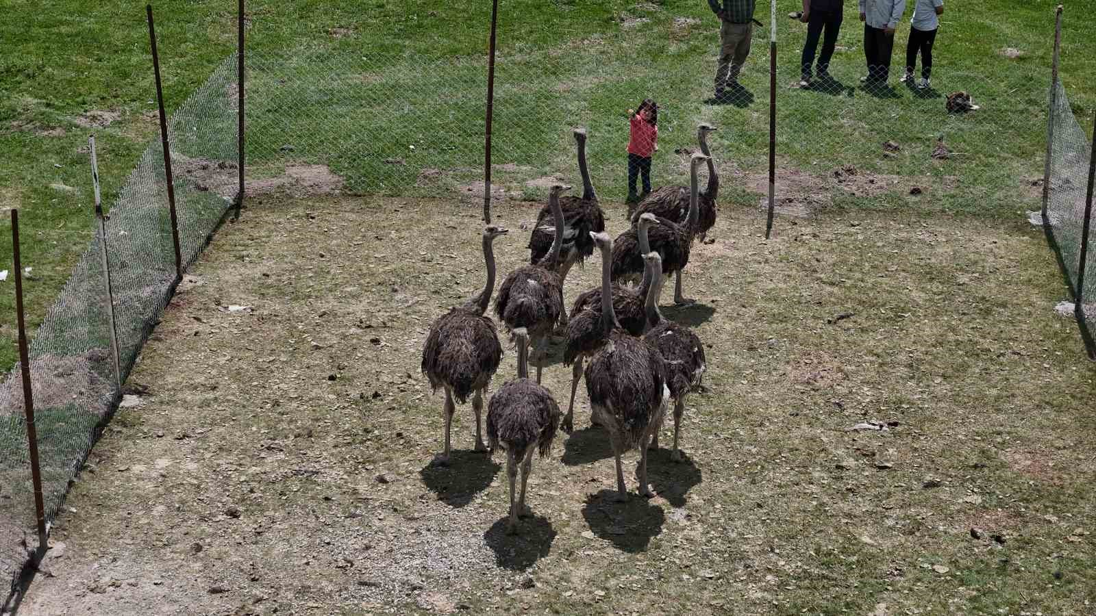 babasinin-hayalini-gerceklestirdi-sivasta-ilki-yapti
