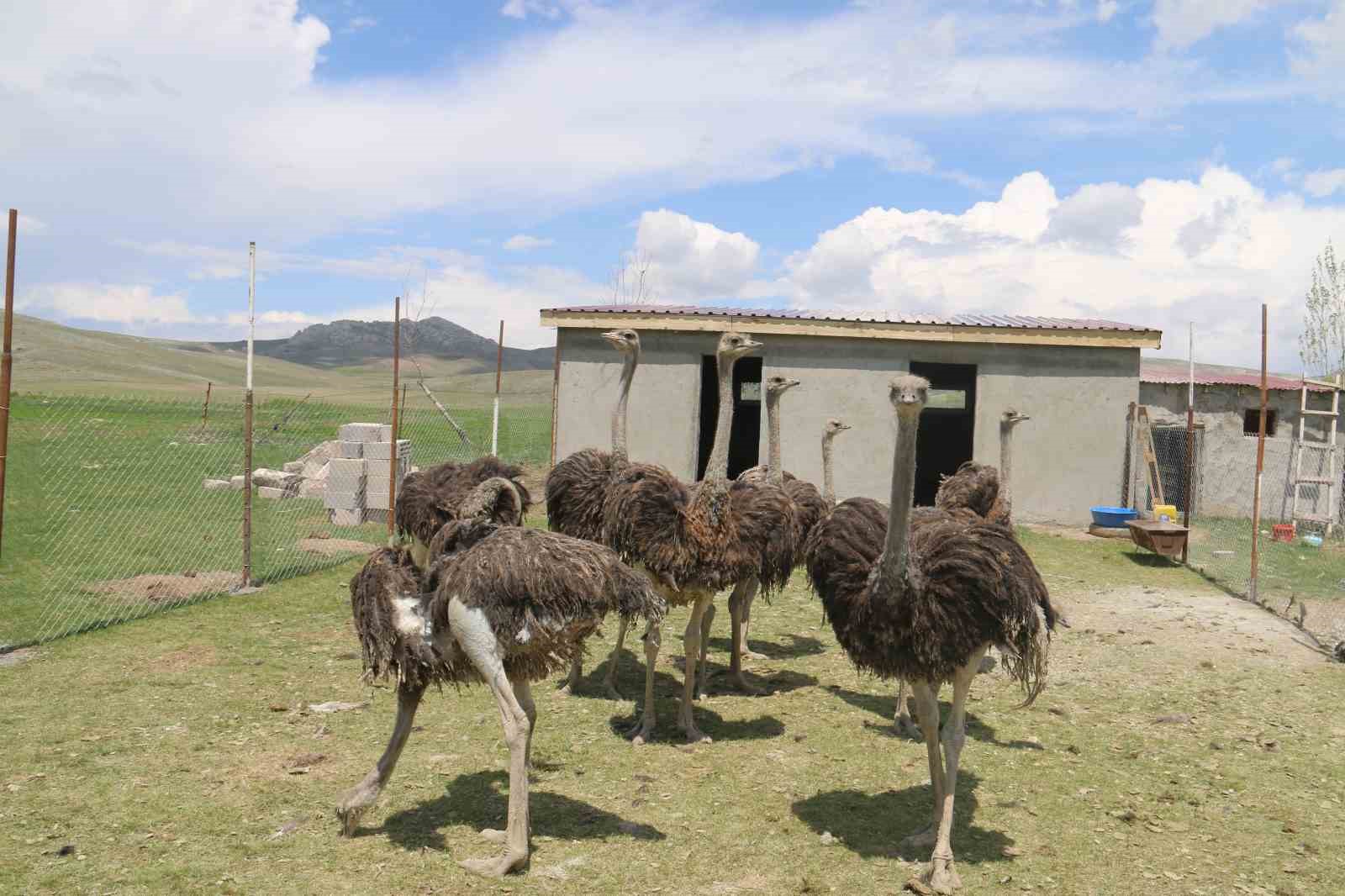 babasinin-hayalini-gerceklestirdi-sivasta-ilki-yapti