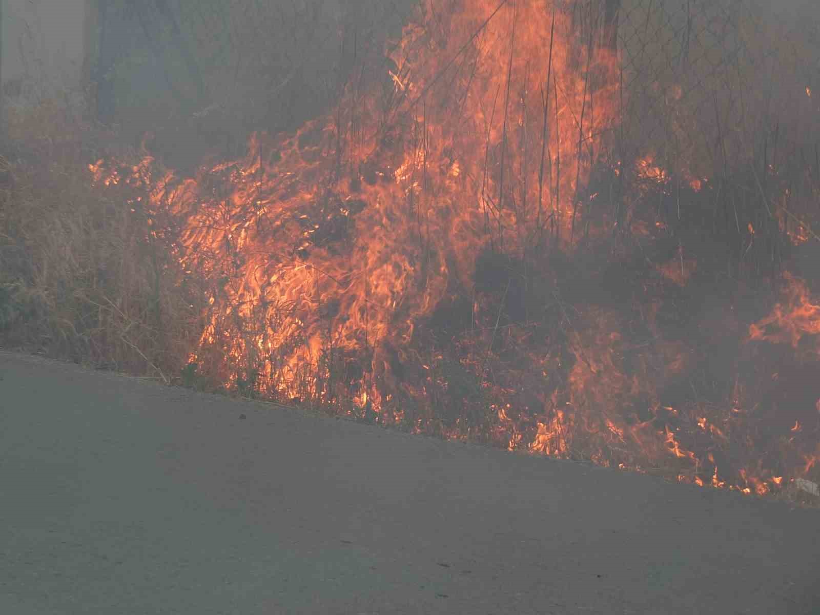 burhaniyede-ot-yangini-korkuttu