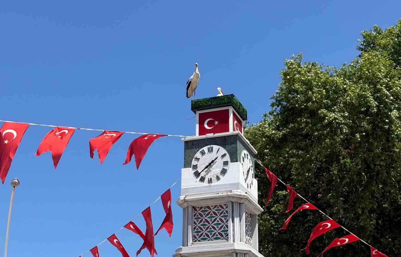 can-ve-canan-leylek-yuvalarina-geldi