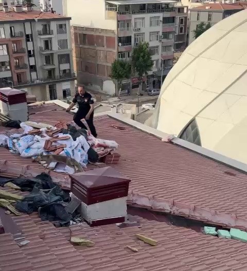 catiya-cikan-tilki-ekipleri-harekete-gecirdi