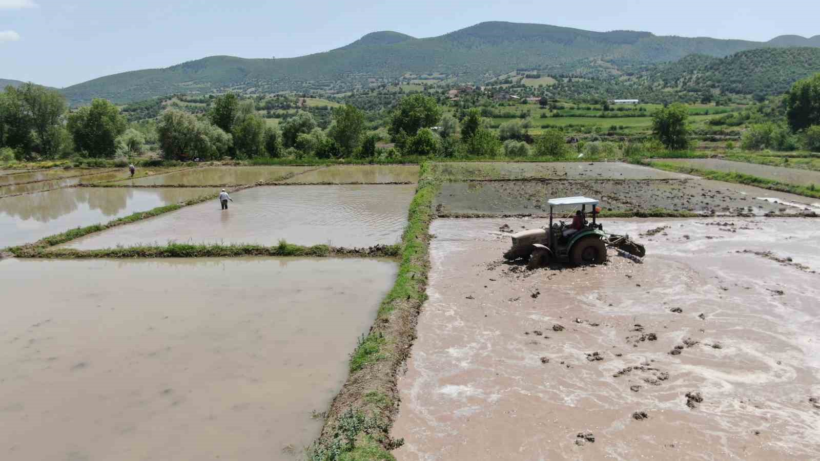 ciftcilerin-zorlu-celtik-mesaisi-dize-ulasan-suyun-icinde-ekim-yapiyorlar