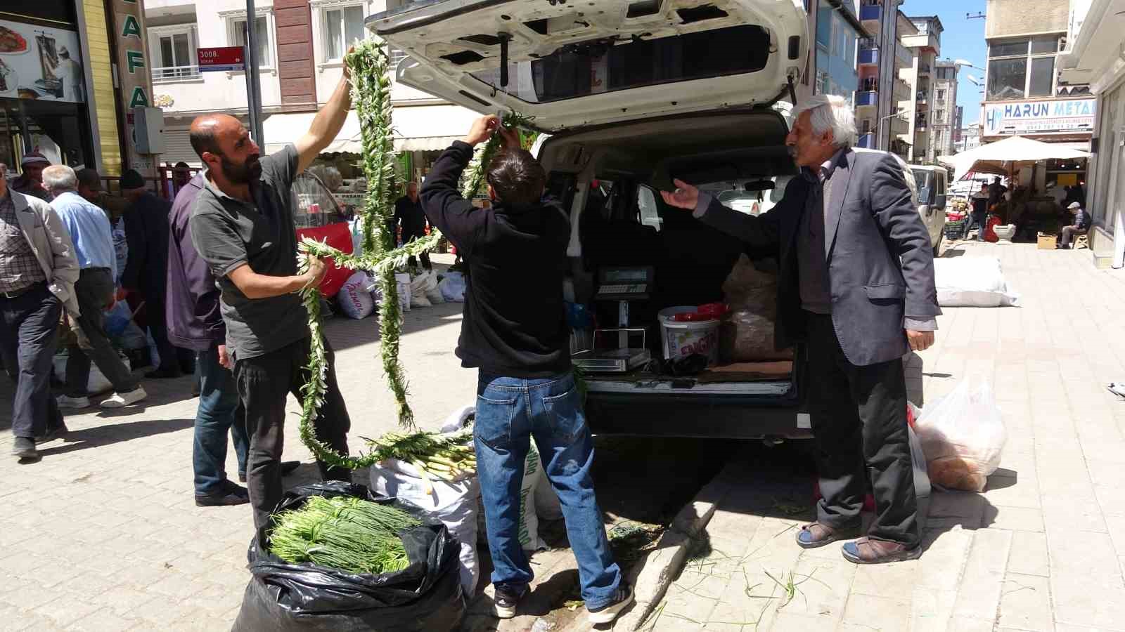daglardan-toplanan-otlar-hem-sifa-hem-kazanc-sagliyor