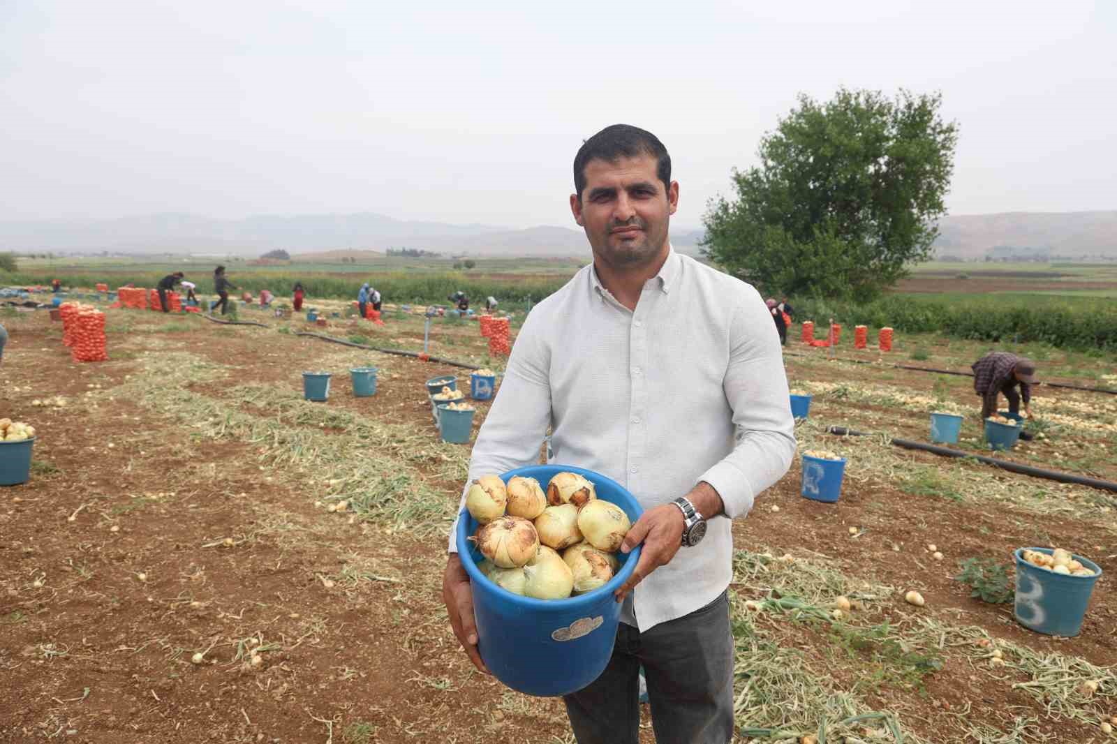 don-ve-kurakligin-rekolteyi-etkilemedigi-sogan-tarladan-8-tlden-alici-buluyor