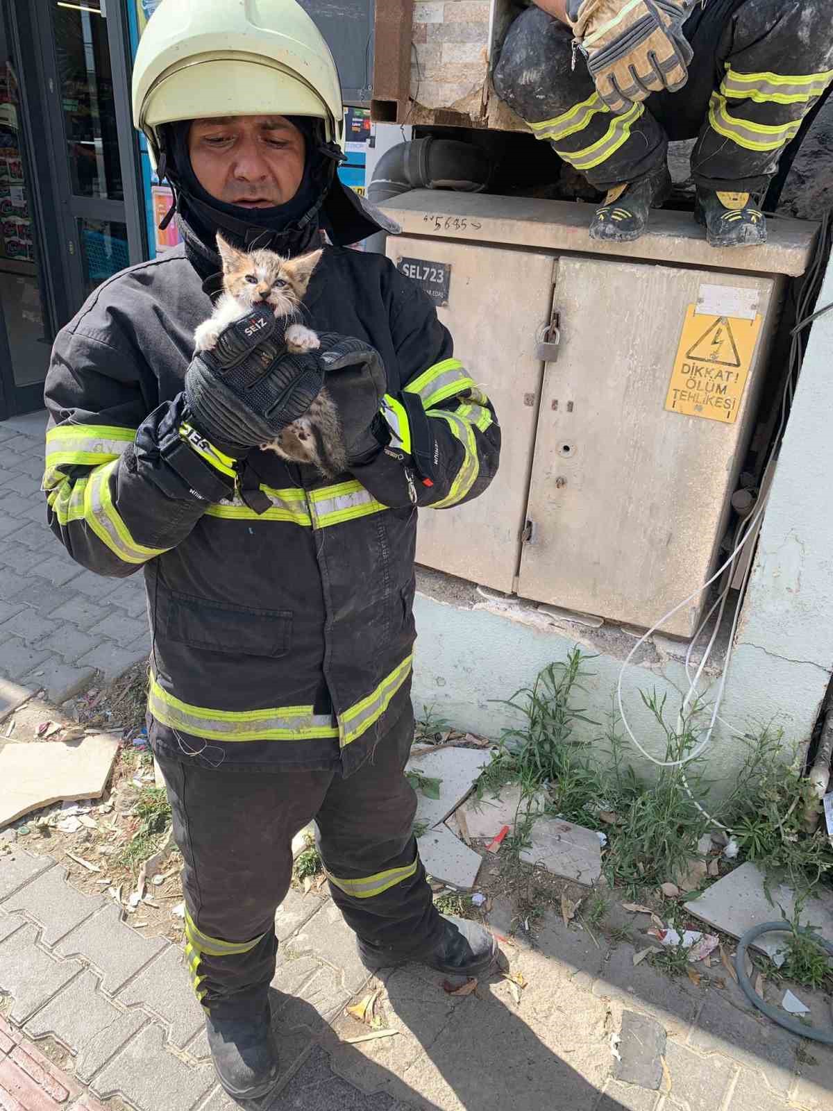 duvar-arasinda-mahsur-kalan-kedi-duvarin-kirilmasiyla-kurtarildi