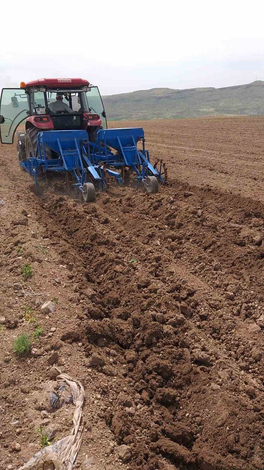 erciyesin-eteklerinde-kabak-cekirdegi-ekim-sezonu-basladi