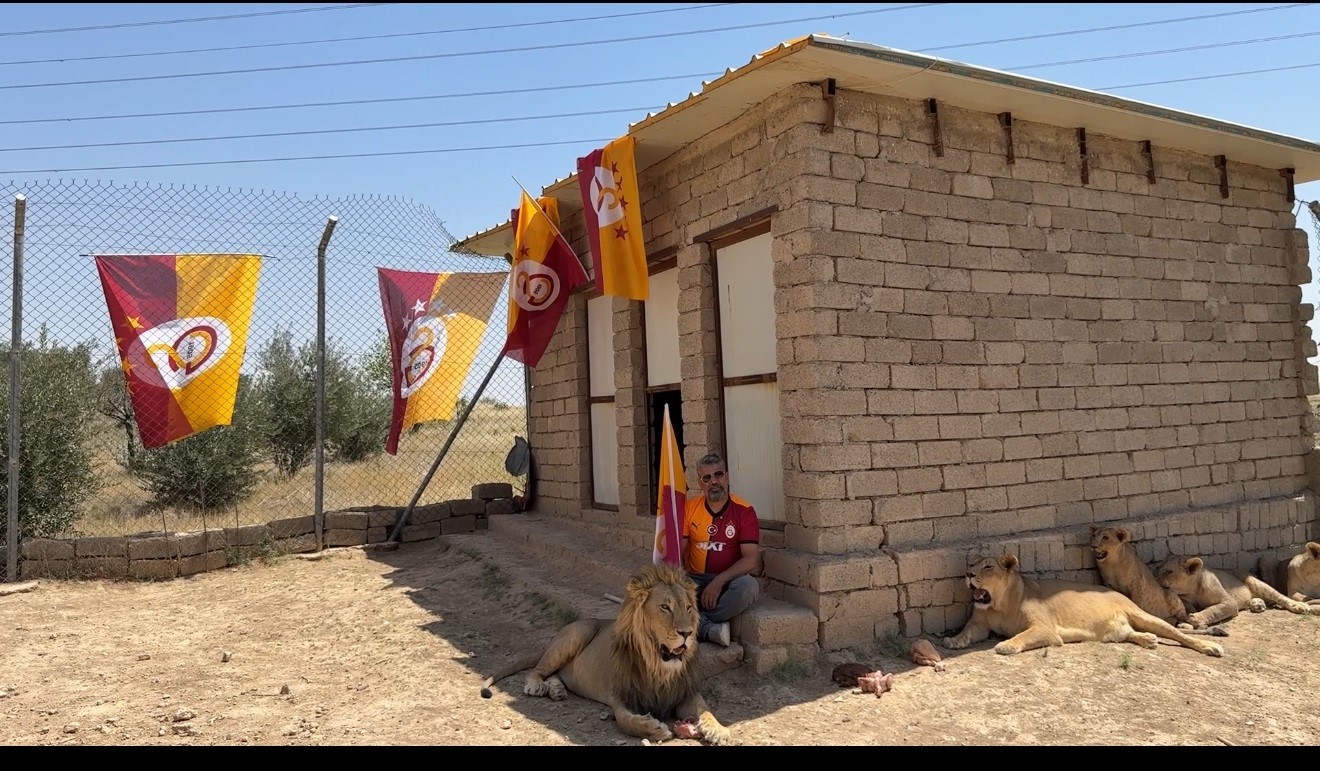galatasarayli-taraftar-sampiyonlugu-aslanlariyla-kutladi
