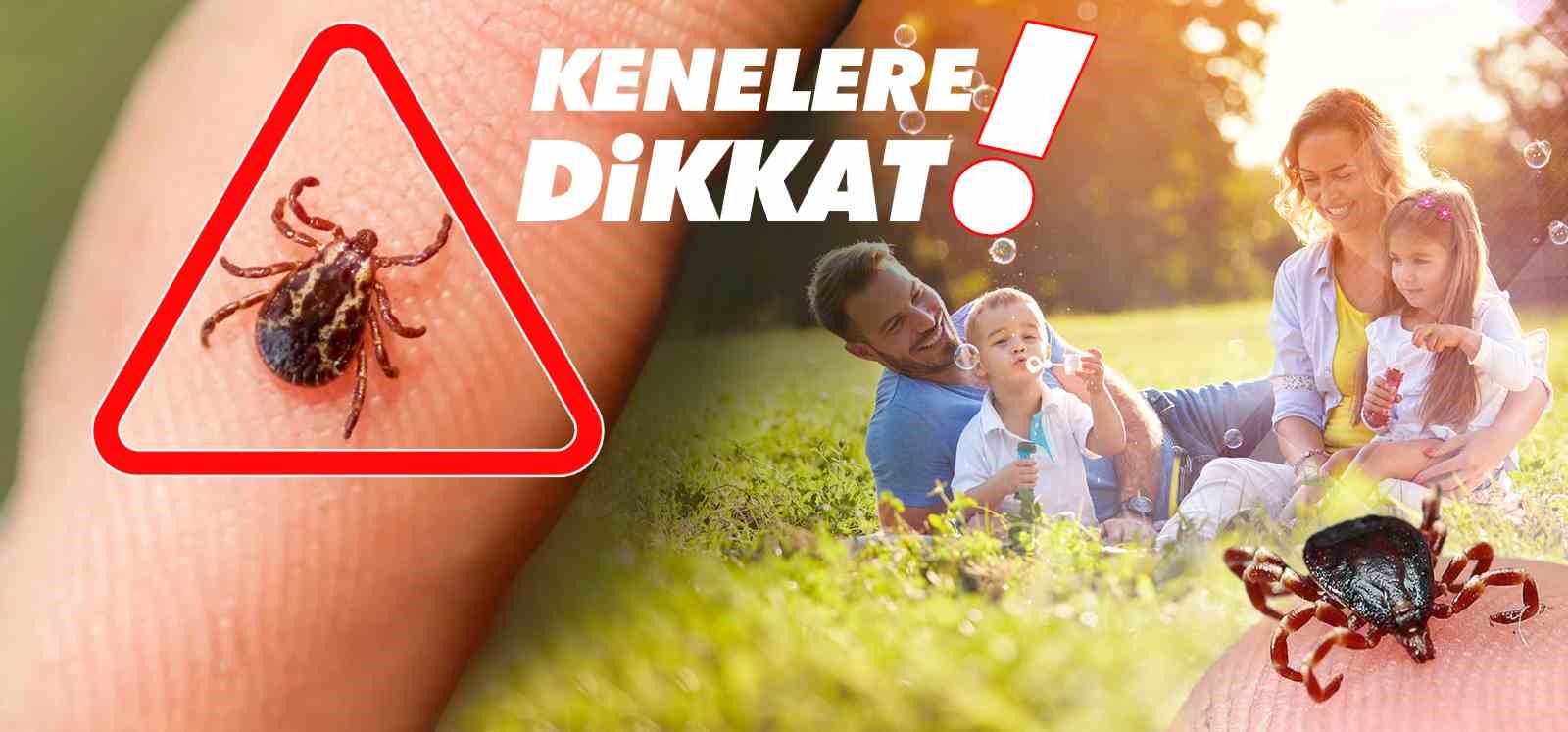 havalarin-isinmasiyla-birlikte-kenelerle-temas-riski-artti