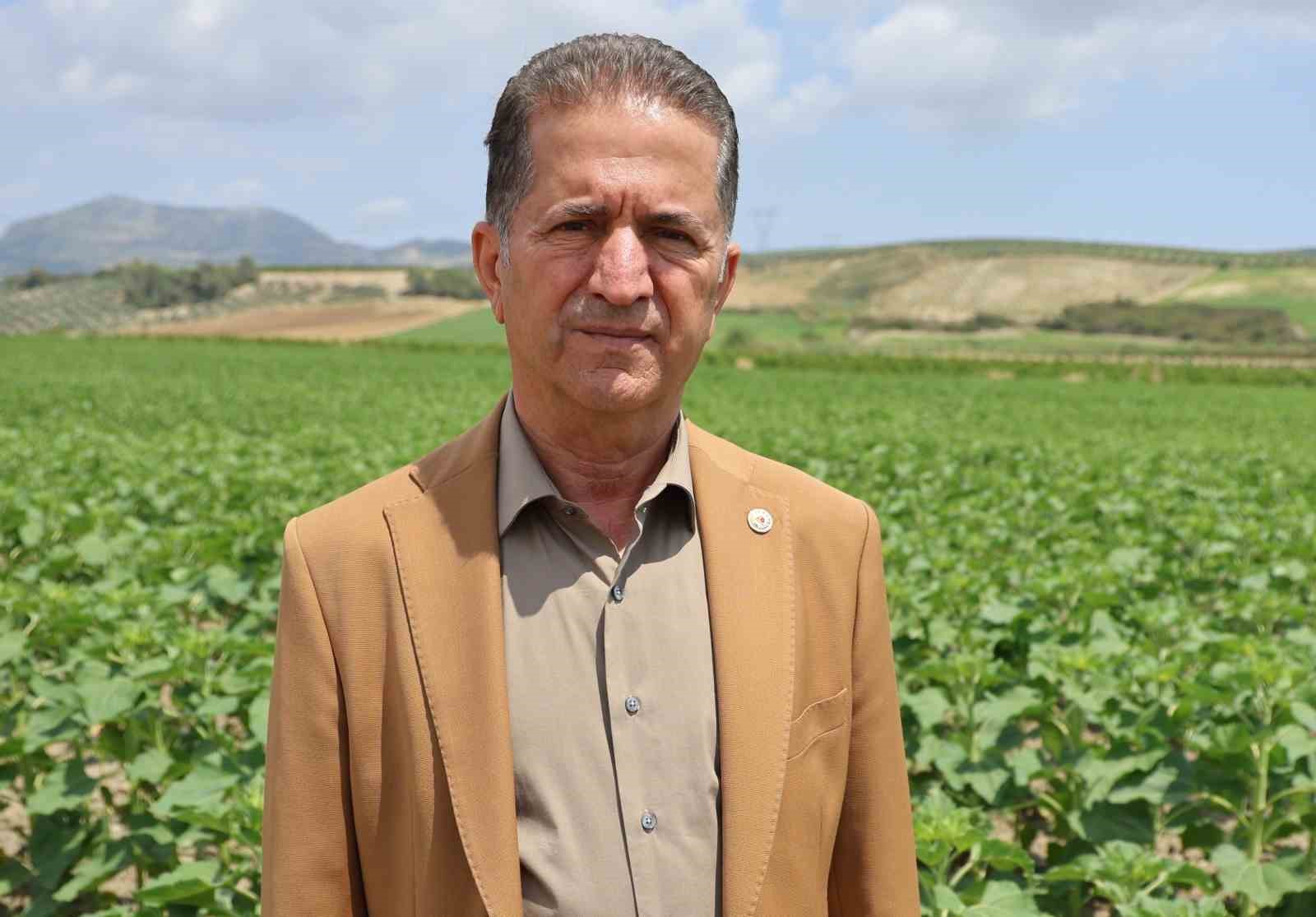 hepsi-geri-gonderildi-yurt-disindan-gelen-2-bin-tondan-fazla-patates-viruslu-cikti