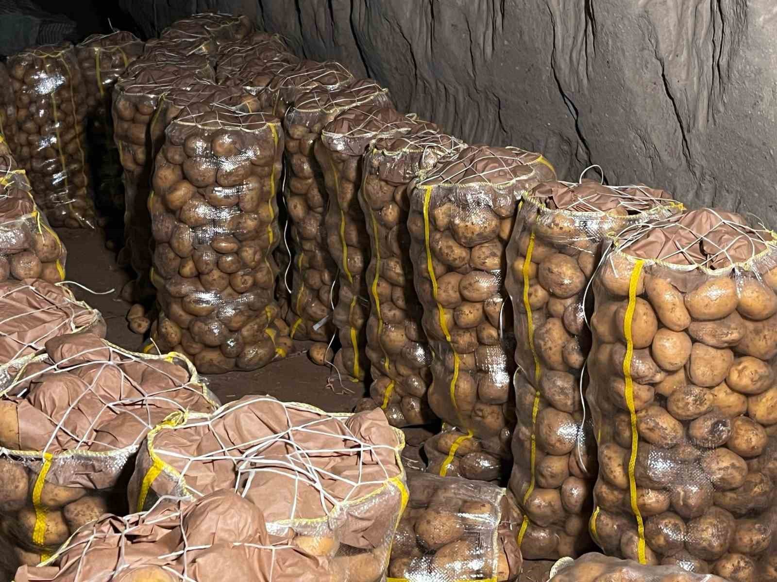 hepsi-geri-gonderildi-yurt-disindan-gelen-2-bin-tondan-fazla-patates-viruslu-cikti