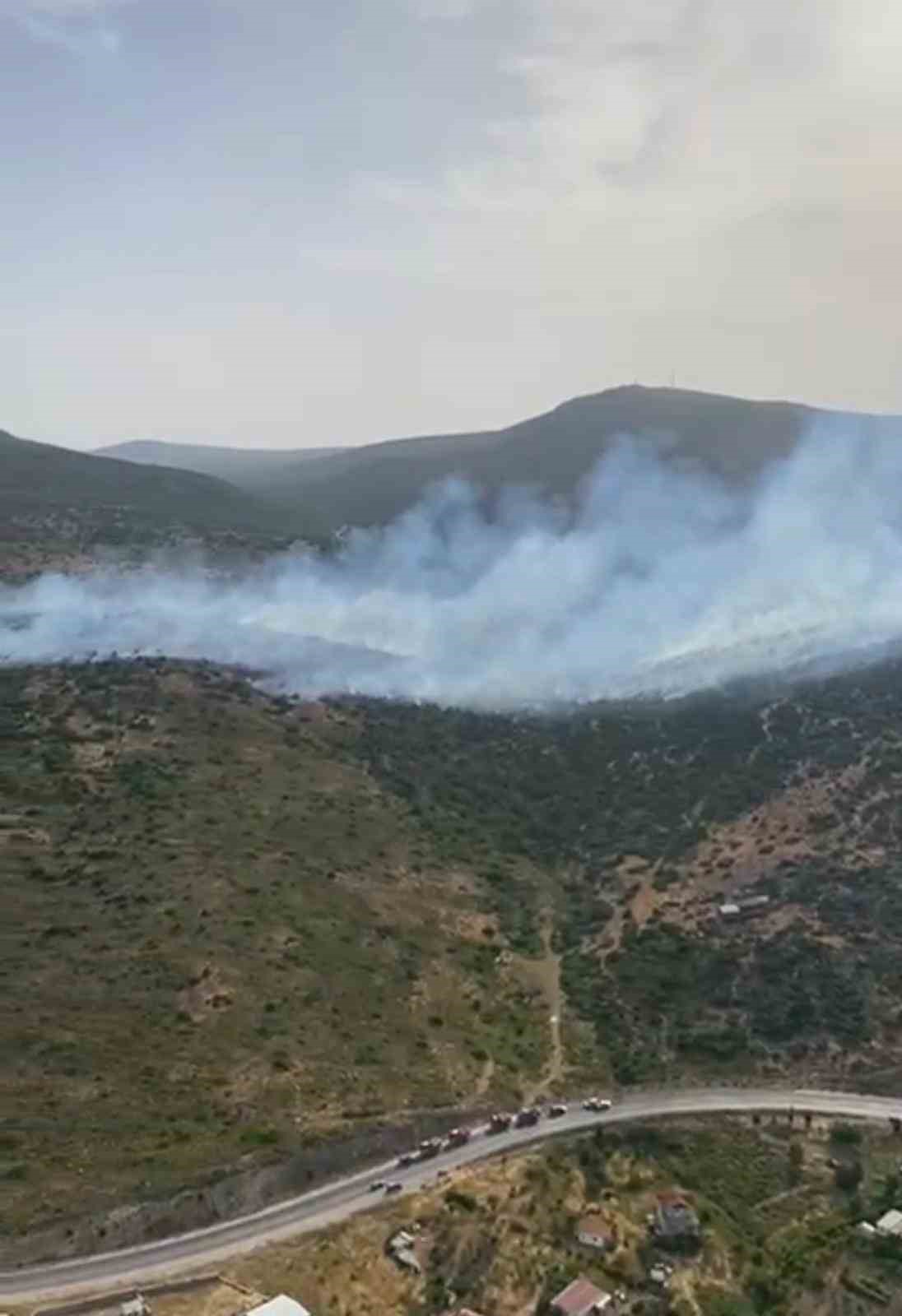izmirde-makilik-alandaki-yangina-mudahale-suruyor