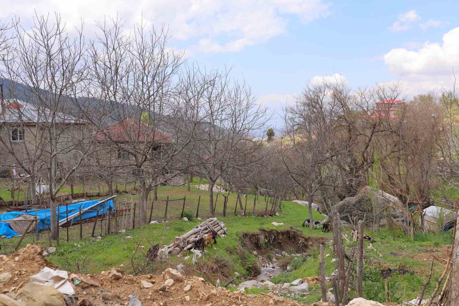 kahramanmarasta-cevizi-don-vurunca-ureticileri-farkli-alanlara-yoneldi