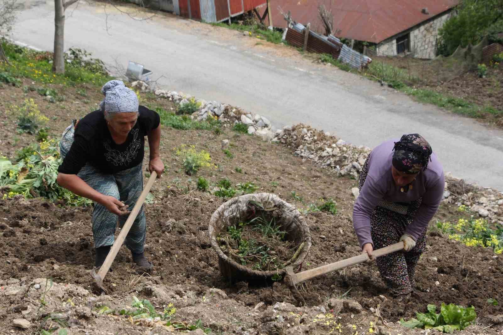 karadeniz-kadininin-zorlu-mesaisi-basladi