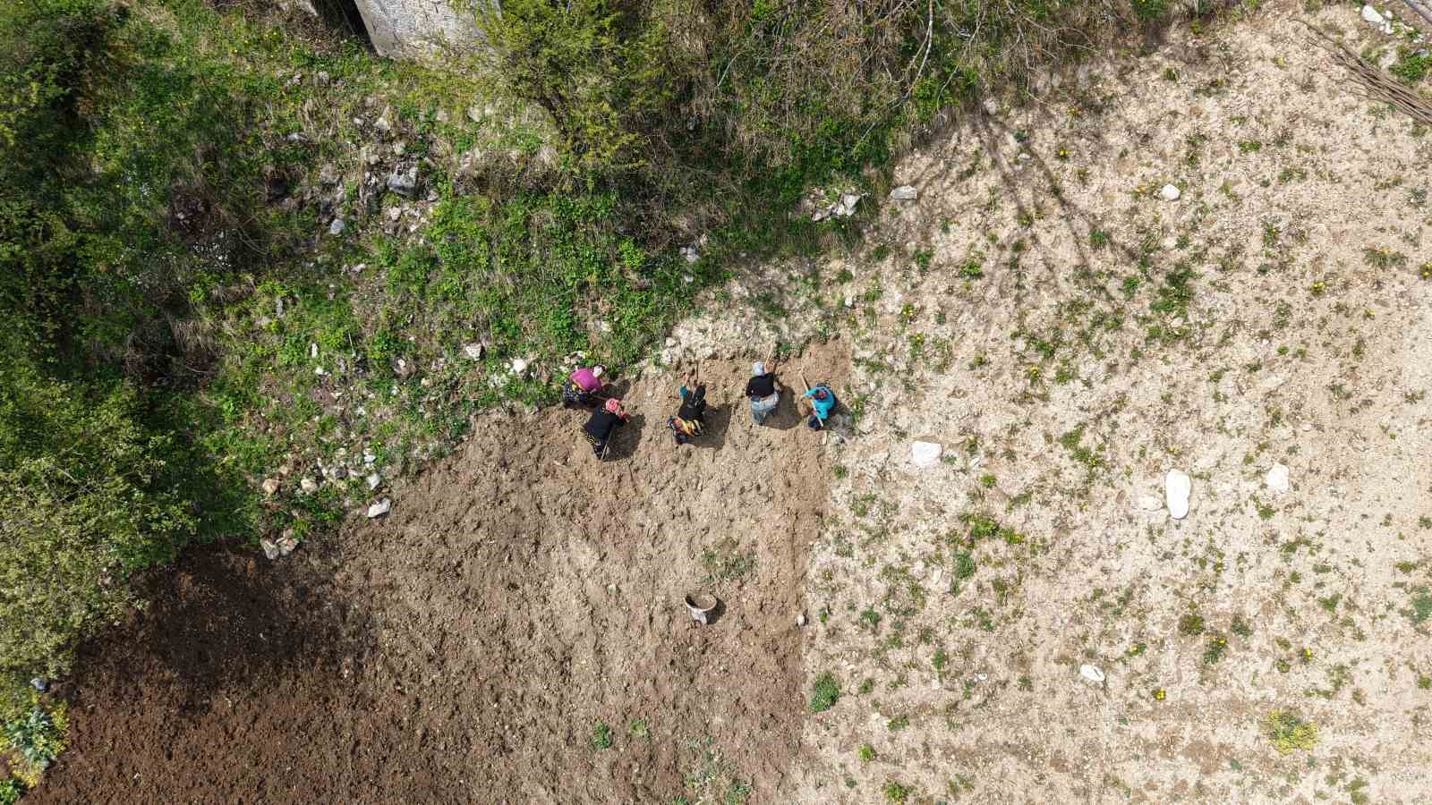 karadeniz-kadininin-zorlu-mesaisi-basladi