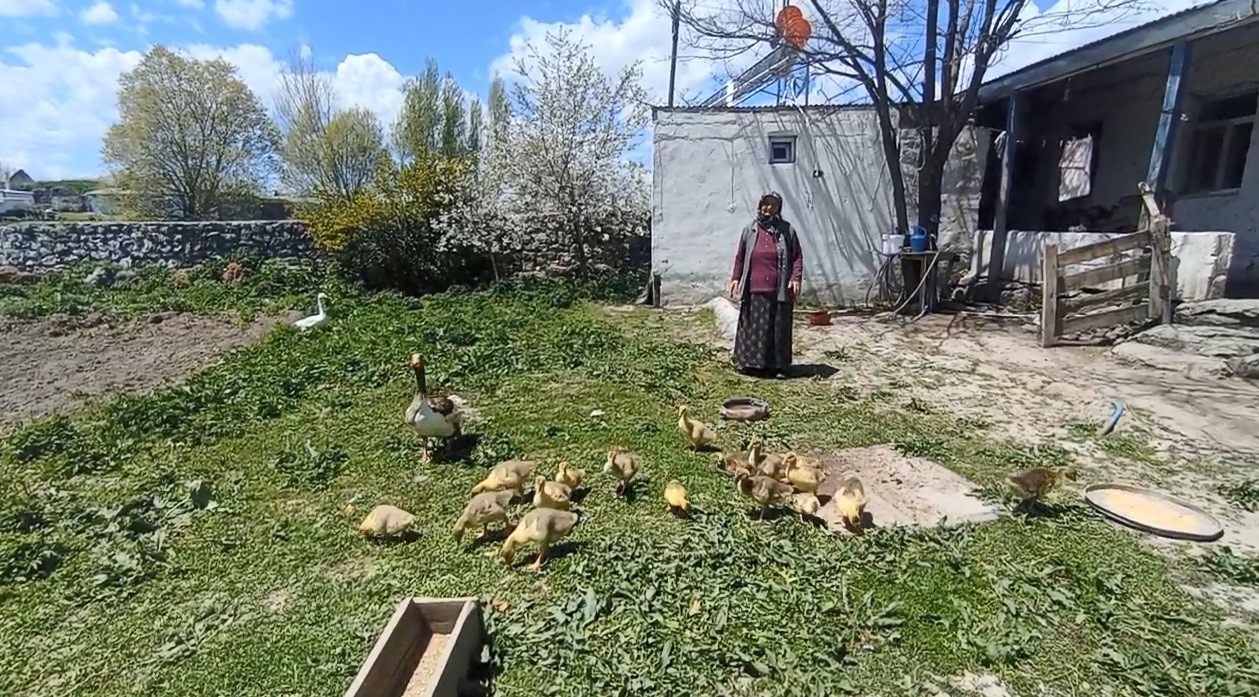 karsta-kaz-gram-altinla-yarisiyor