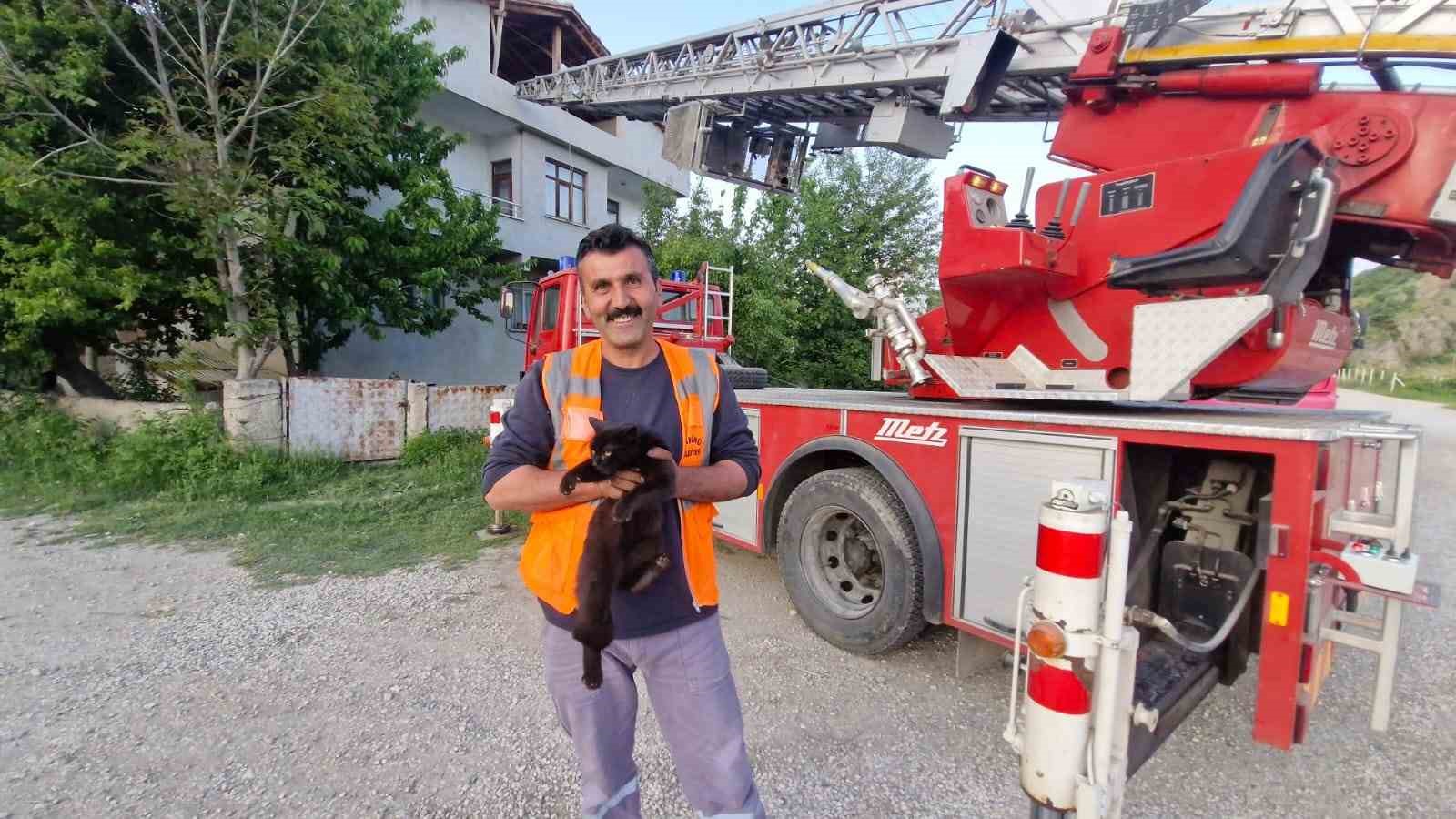 kastamonuda-evin-catisinda-mahsur-kalan-kediyi-itfaiye-ekipleri-kurtardi