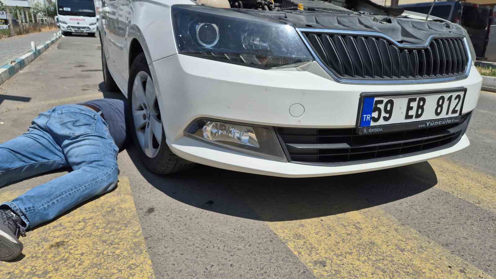 kedi-sesiyle-kedi-kurtarma-operasyonu