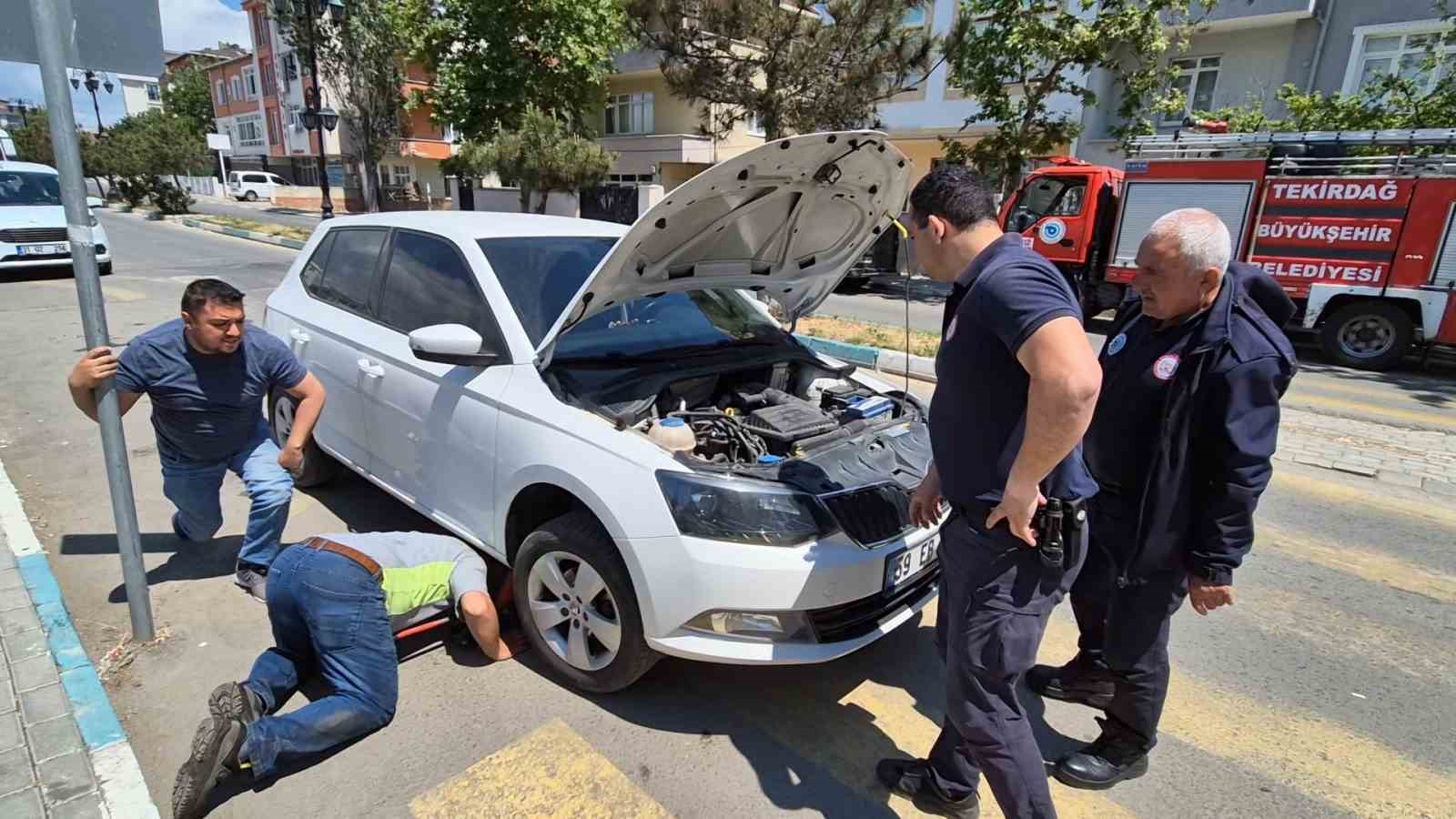 kedi-sesiyle-kedi-kurtarma-operasyonu