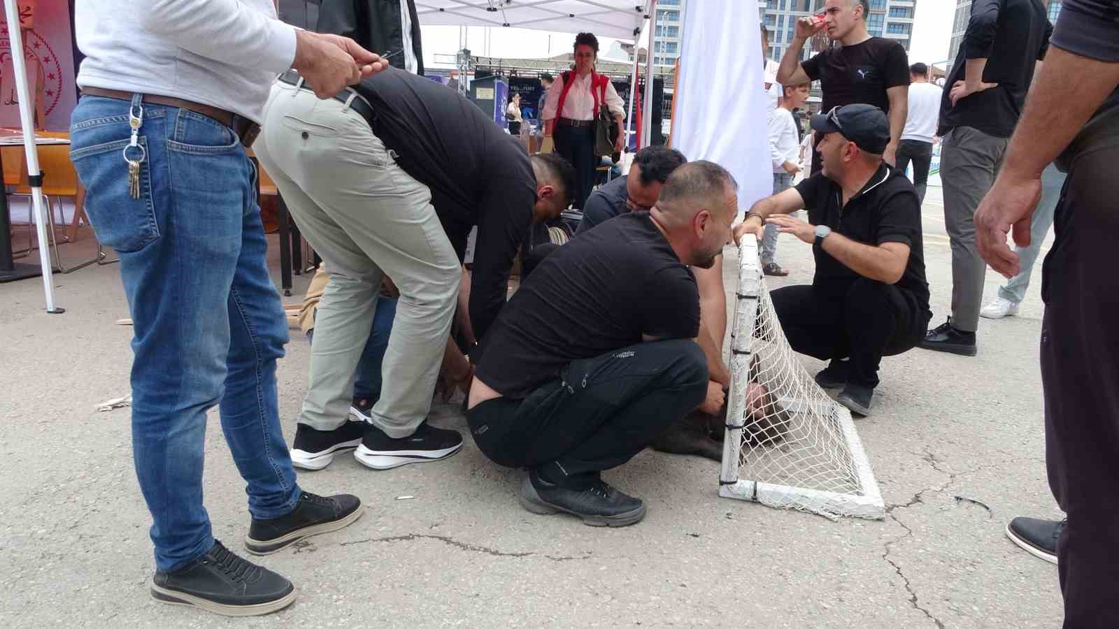 malatyada-etkinlikte-pitbull-dehseti-bir-kadin-yaralandi