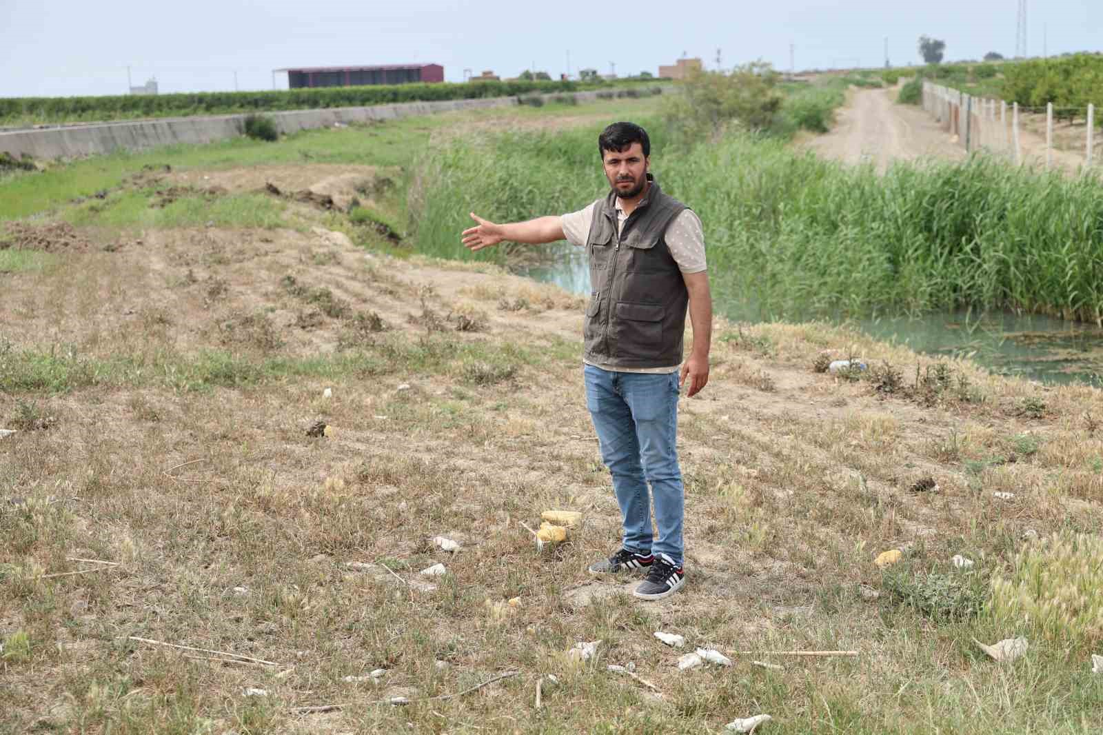 meraya-dokulen-zehir-77-koyunu-telef-etti-onlarca-kuzu-annesiz-kaldi