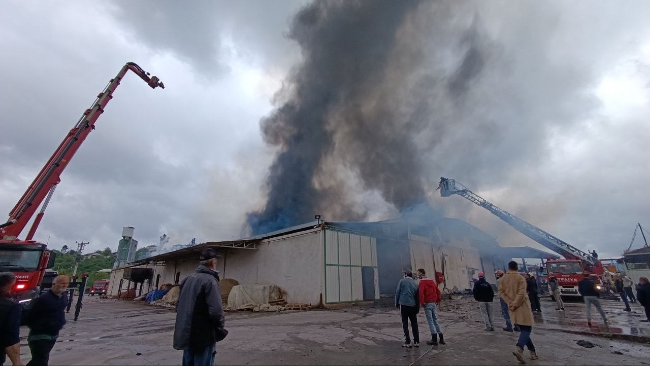 sakaryada-fabrika-yangini