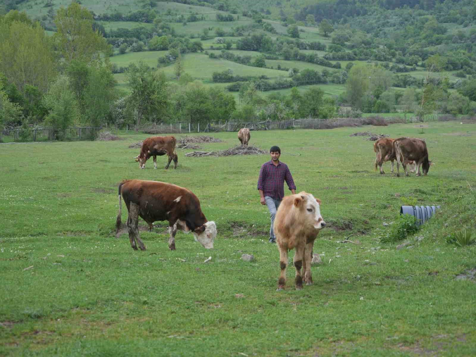 sehir-hayatindan-bikti-dondugu-koyunde-hayvanciliga-basladi