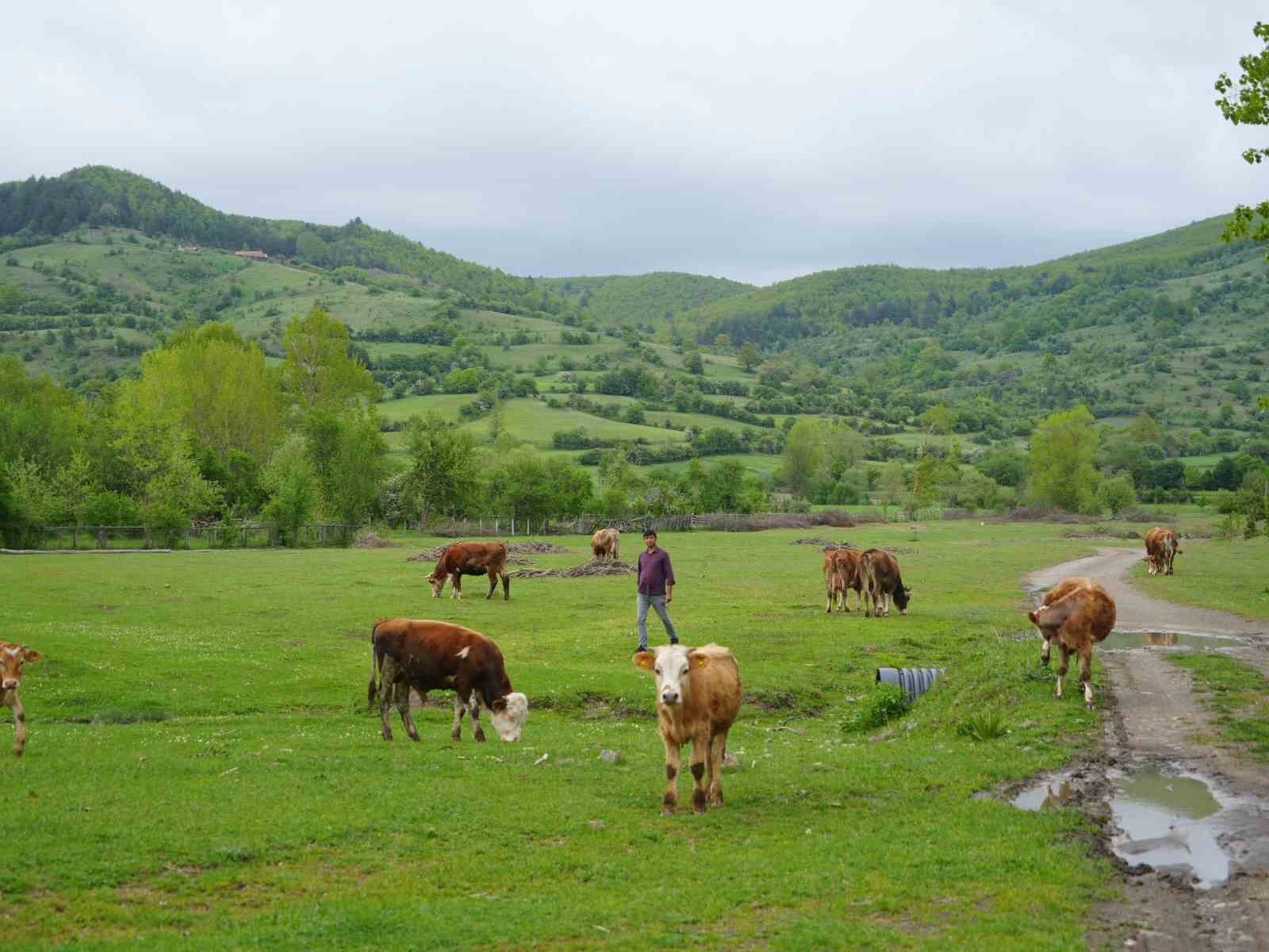 sehir-hayatindan-bikti-dondugu-koyunde-hayvanciliga-basladi