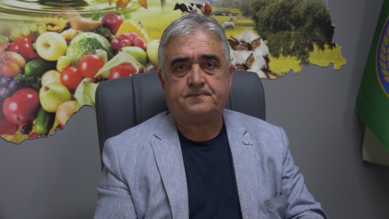 son-yagislar-ciftcinin-umudu-oldu-trakyada-aycicegin-gelisimi-hiz-kazandi