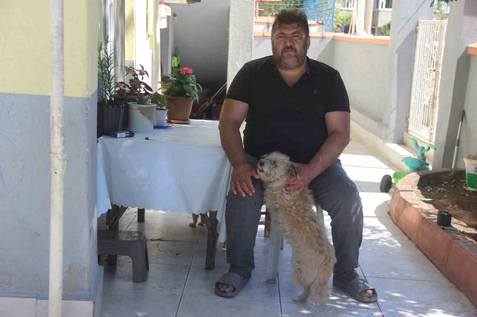 tarcin-adli-disi-kopek-kedilere-annelik-yapiyor