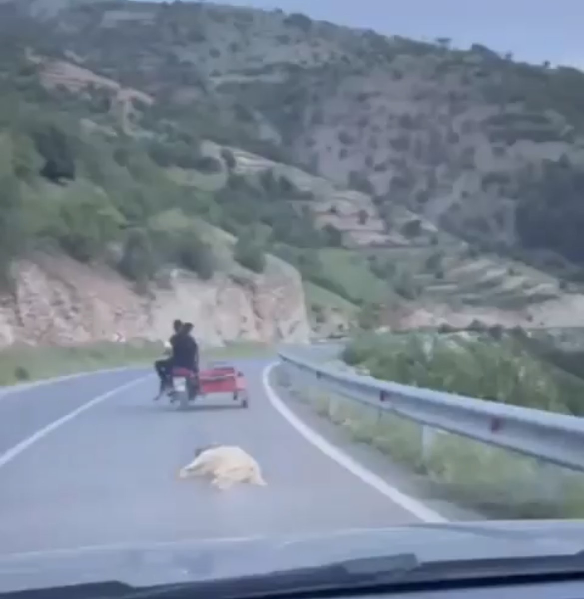 telef-oldugu-iddia-edilen-kopegi-motosikletle-suruklediler