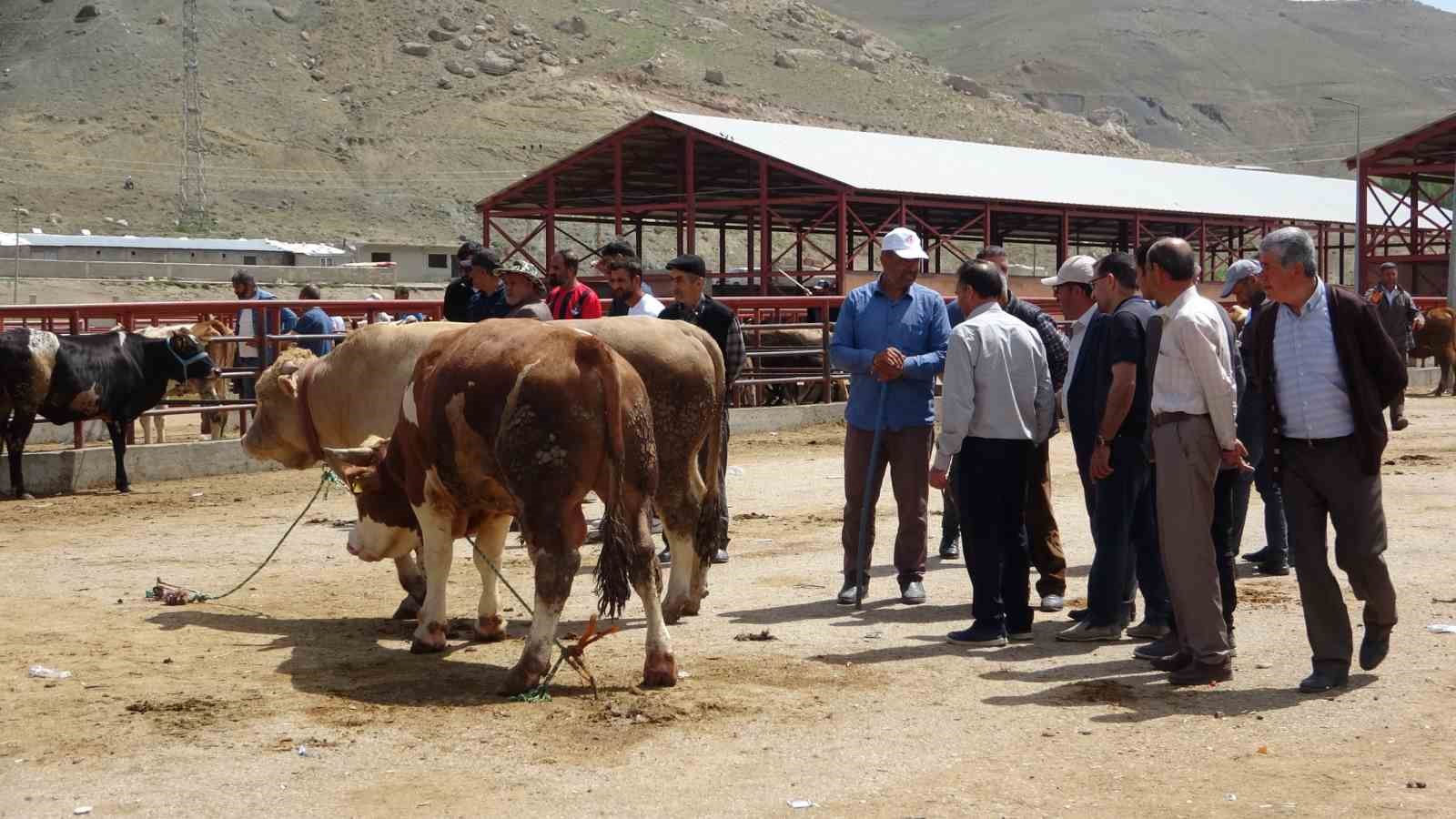 vanda-kurbanliklar-gorucuye-cikti