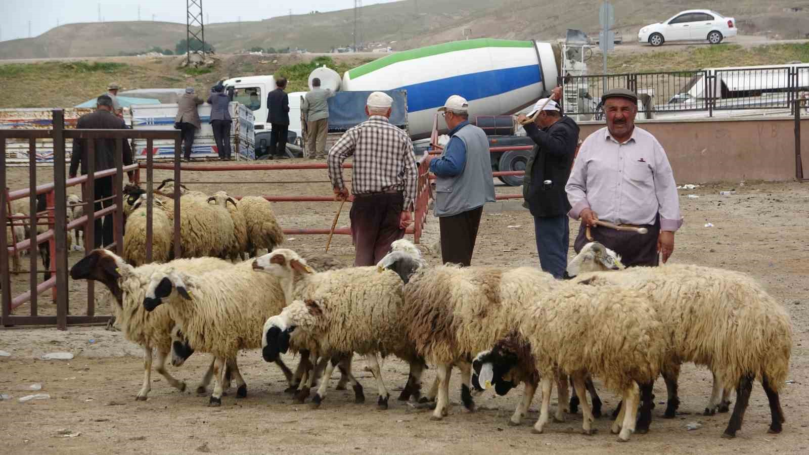 vanda-kurbanliklar-gorucuye-cikti