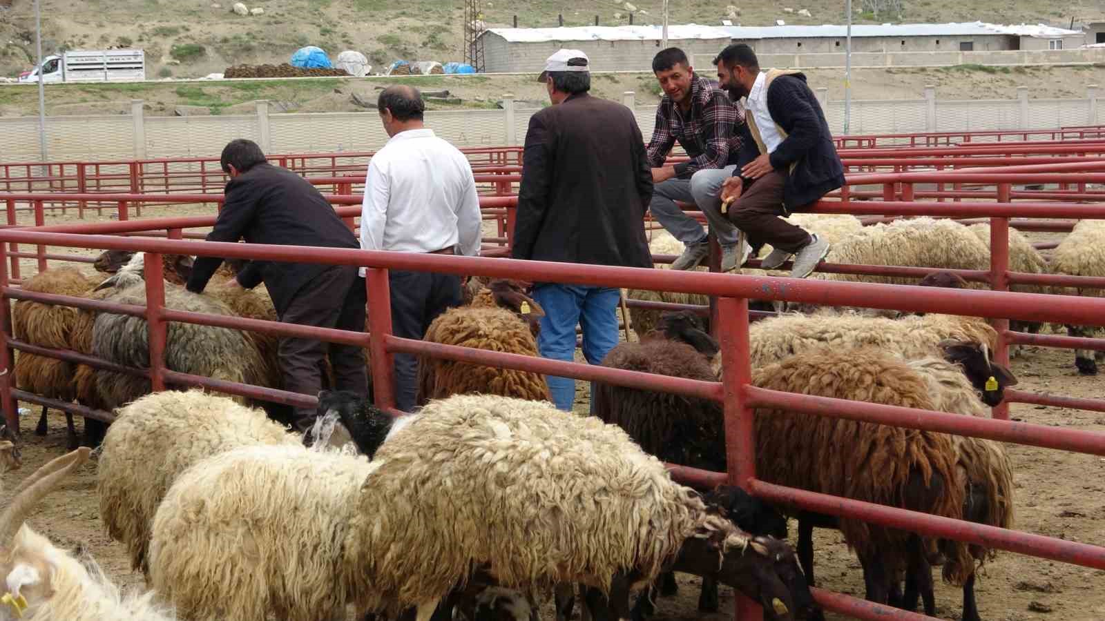 vanda-kurbanliklar-gorucuye-cikti