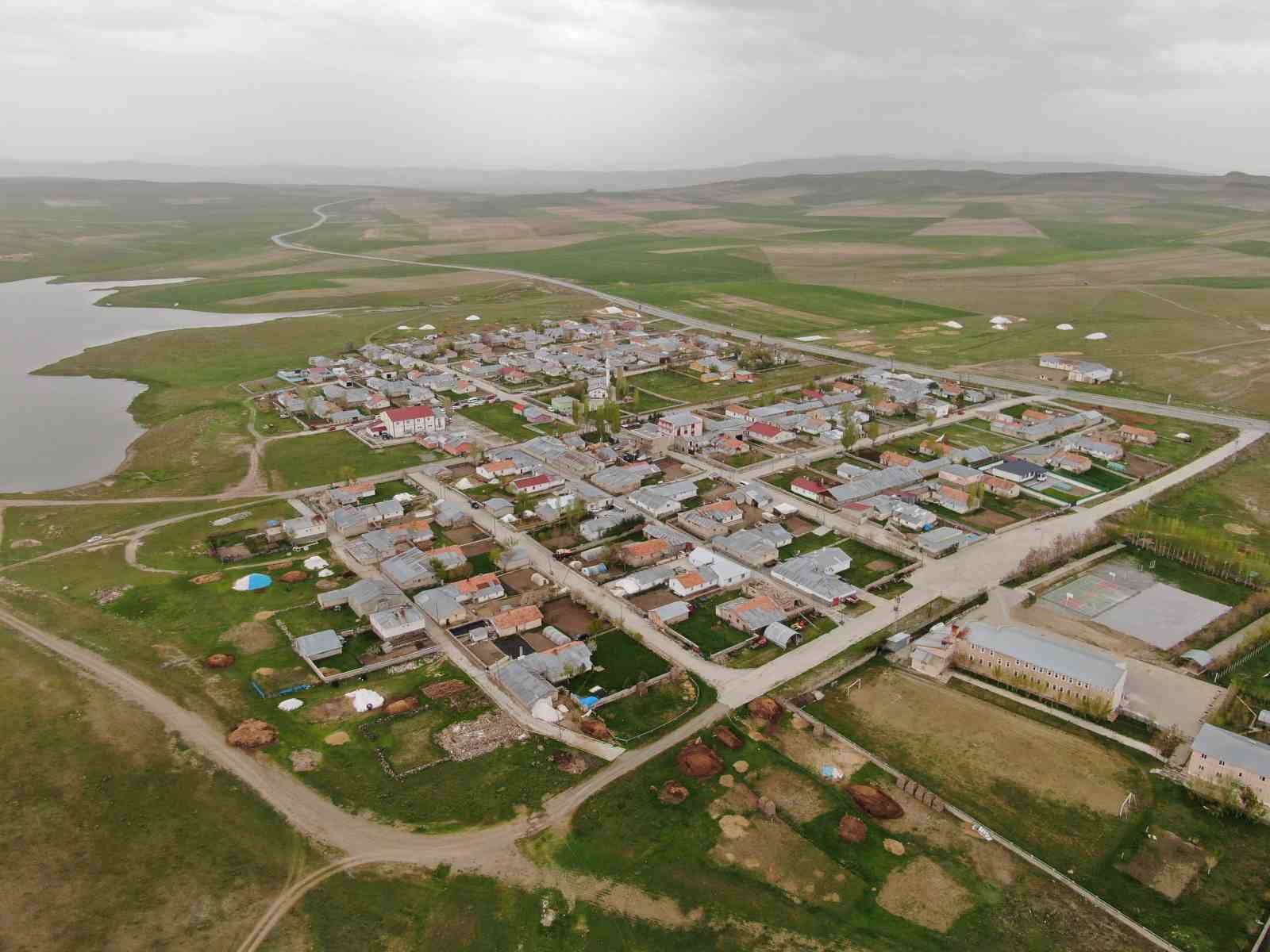 vanda-leylekler-48-yildir-ayni-direge-yuva-yapiyor