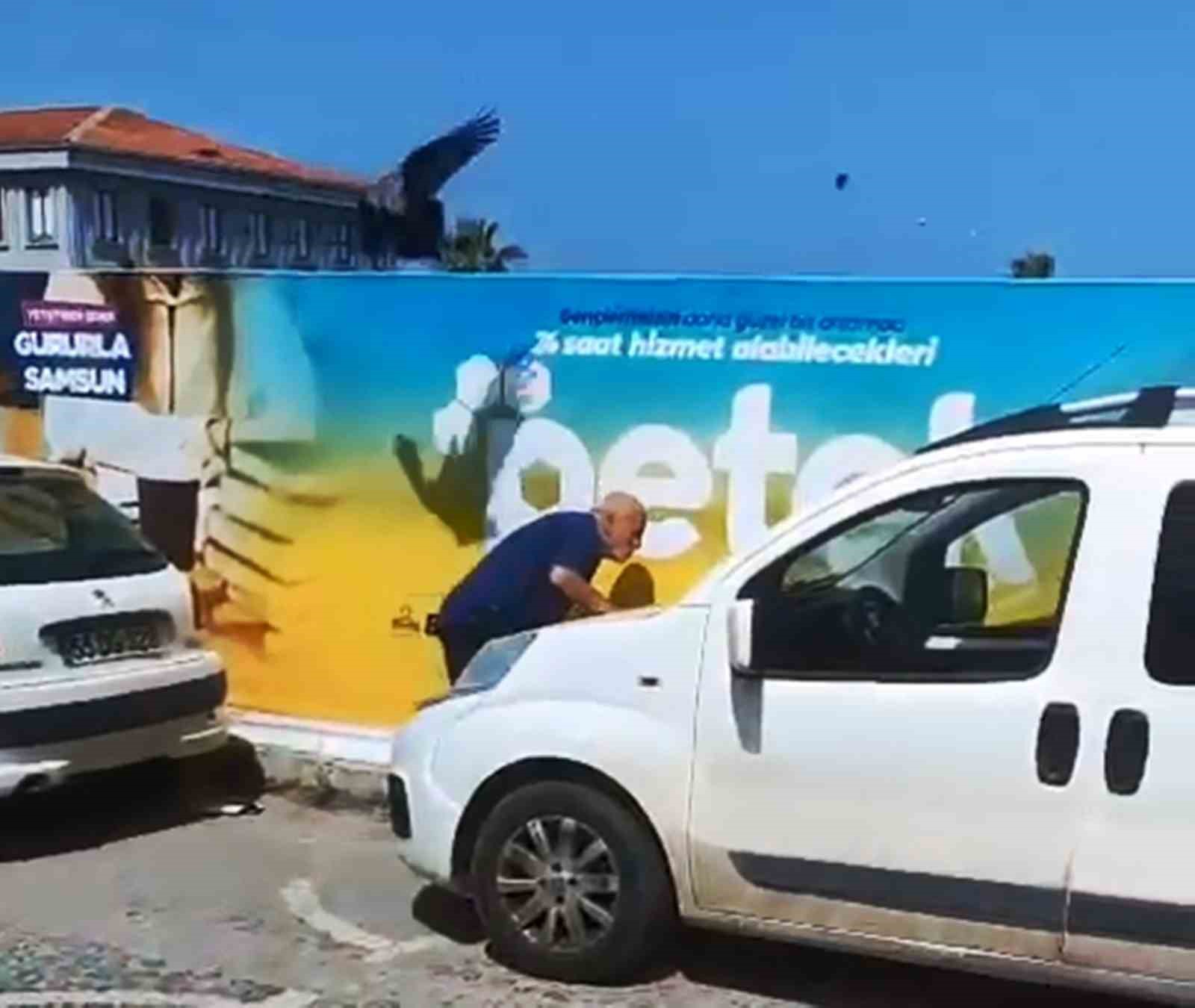 yavruyu-kurtarmak-istedi-kargalarin-hedefi-oldu