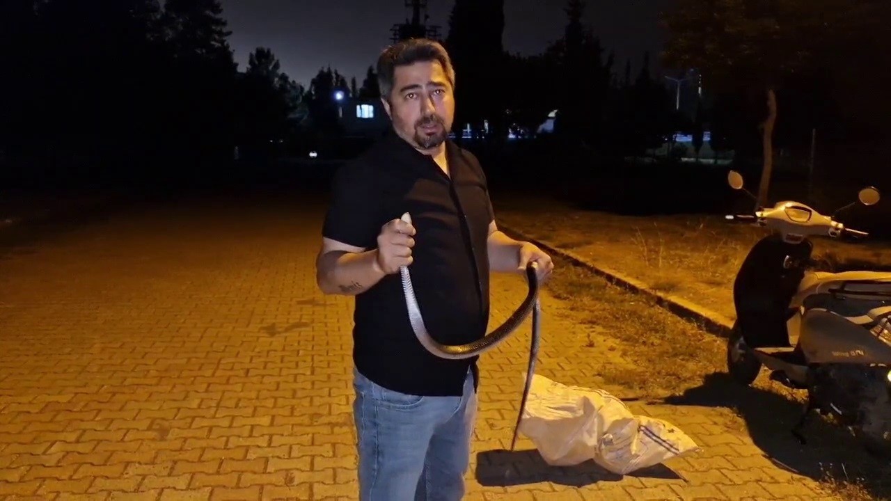 yilanlara-fisildayan-adam-camasir-makinesine-giren-1-bucuk-metrelik-karayilani-nasihat-vererek-dogaya-birakti