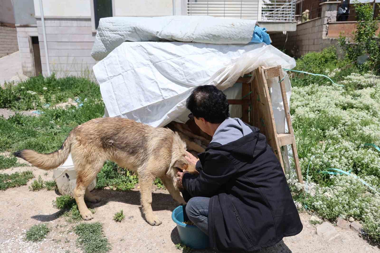 30-yildir-sokak-hayvanlarini-besliyor