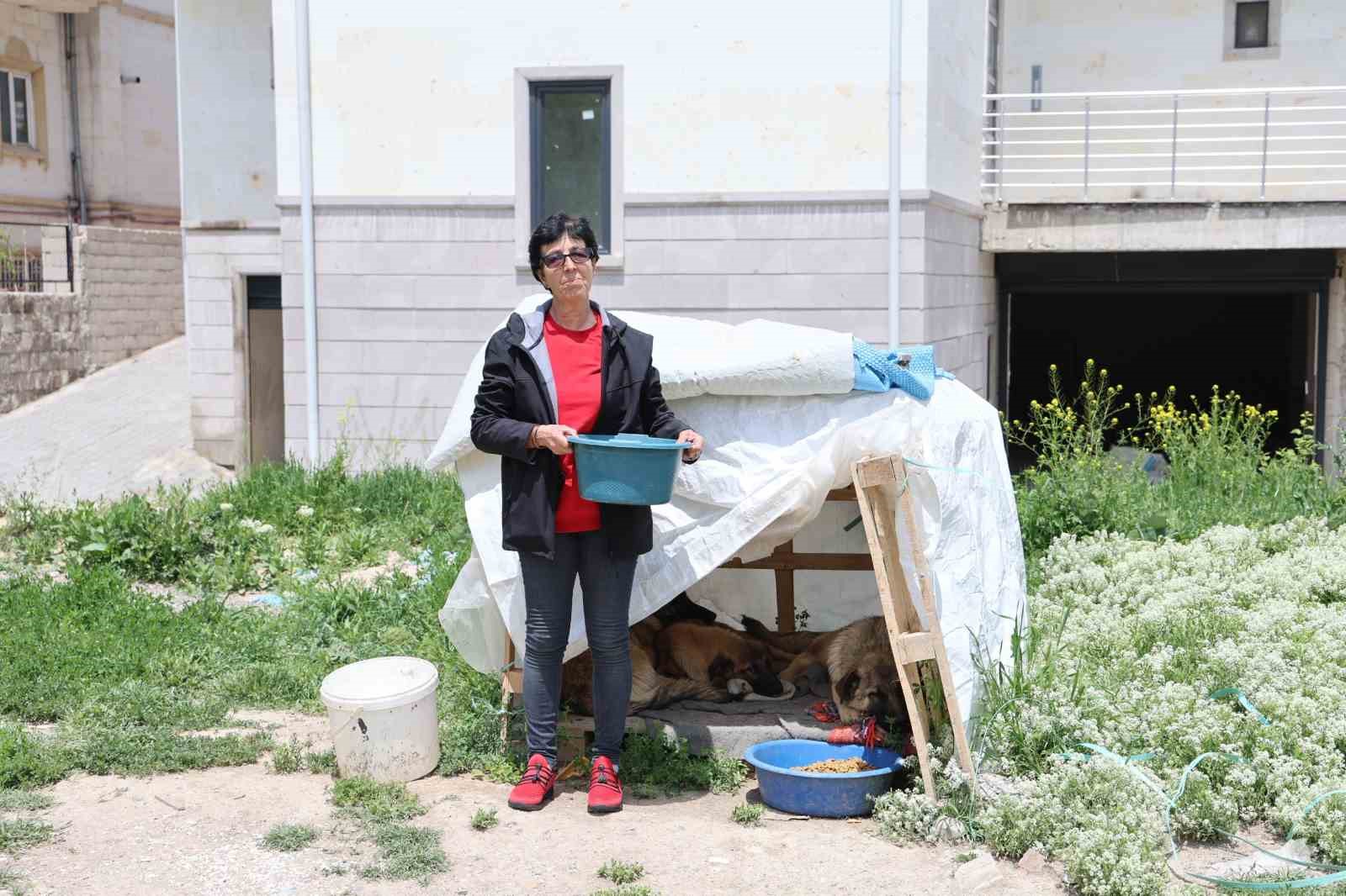 30-yildir-sokak-hayvanlarini-besliyor