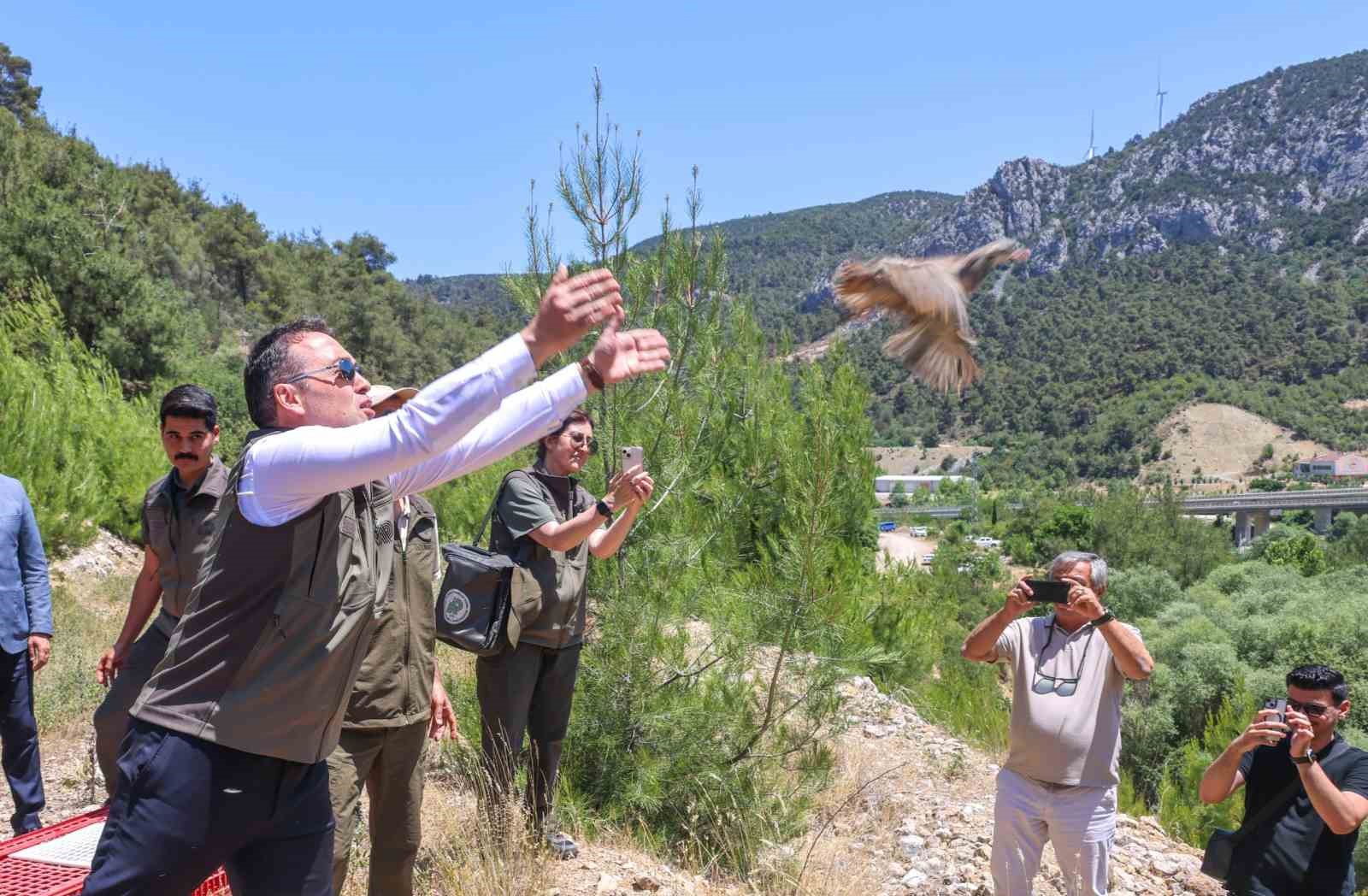 300-kinali-keklik-dogaya-salindi
